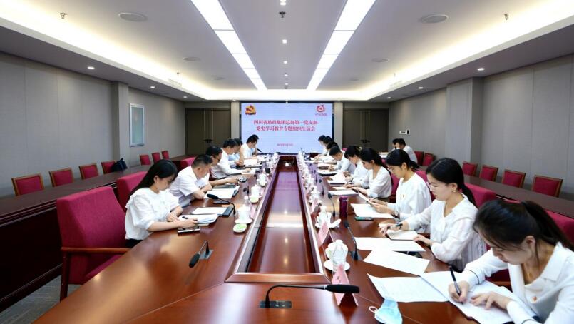 尊龙凯时集团党委书记、董事长任丁参加总部第一党支部党史学习教育专题组织生活会